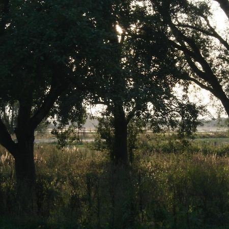 Landhaus An Der Wiek Poseritz Exteriér fotografie