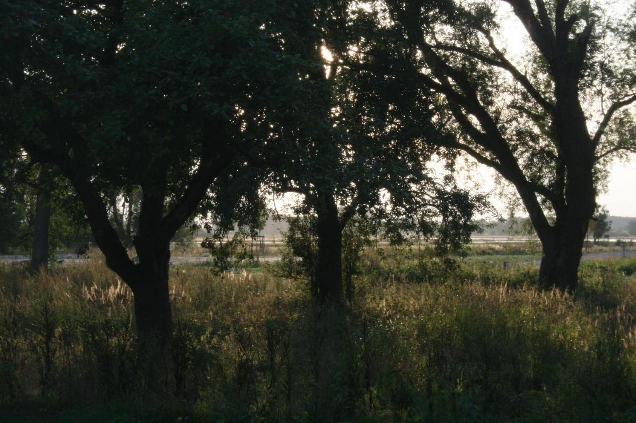 Landhaus An Der Wiek Poseritz Exteriér fotografie